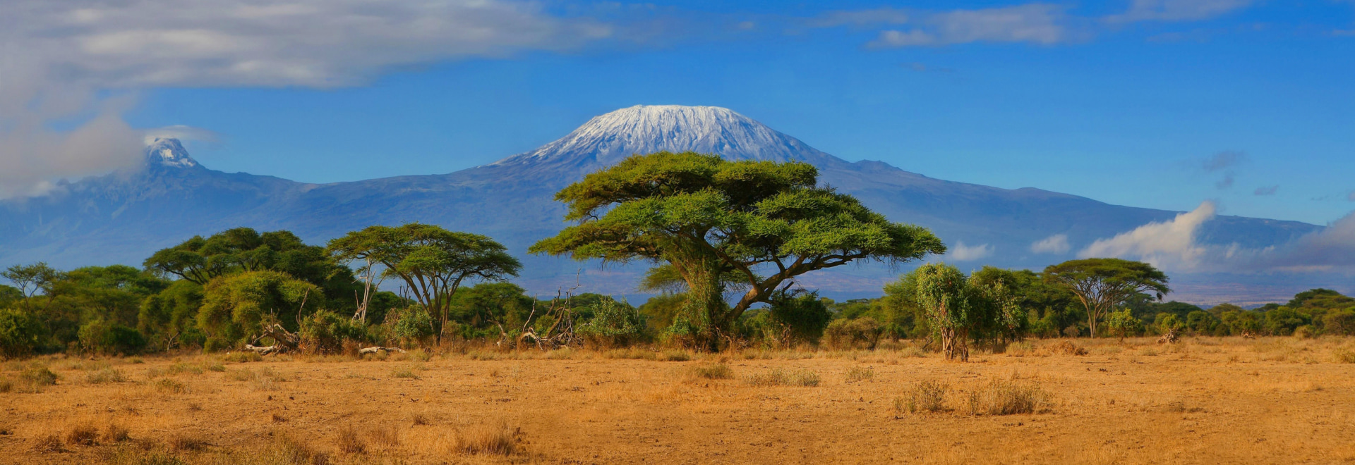 photographie de la plus haute montagne d'Afrique nommé Kilimanjaro, pour décor la savane et en fond les montagnes hautes avec de la neige