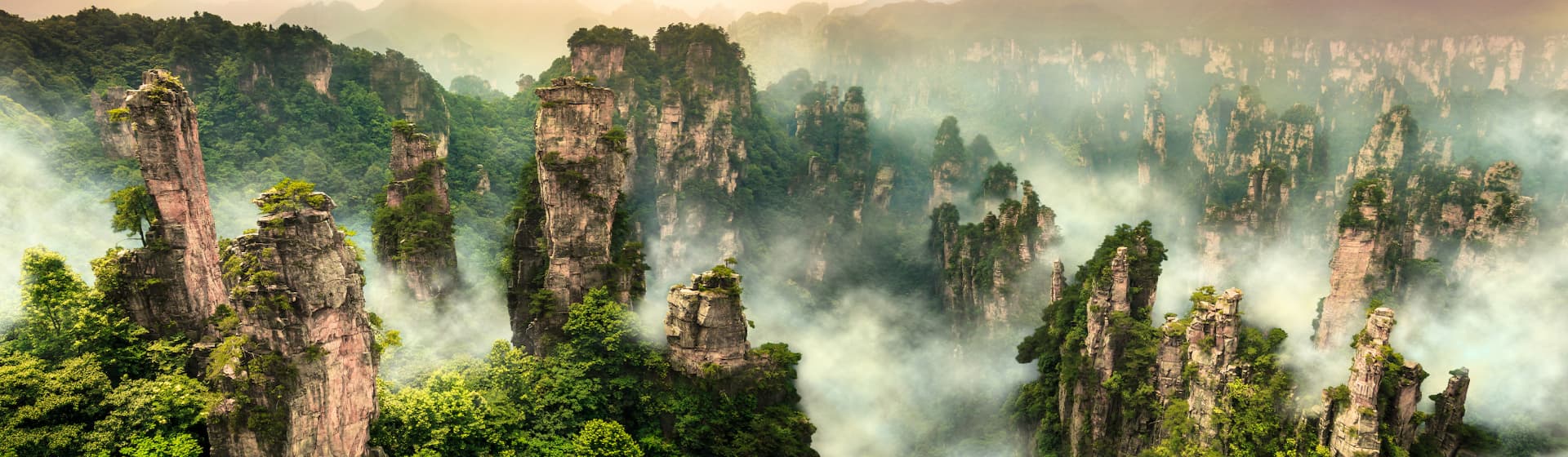 images de montagnes avec du brouillard