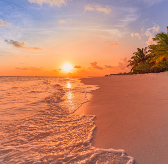 photo sur une plage durant un coucher de soleil avec la mer et les palmiers