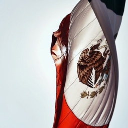 image du drapeau du Mexique de couleur rouge verte et blanche et avec un motif d'aigle au centre