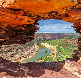 image du Kings Canyon avec une oasis au coeur du désert du centre rouge