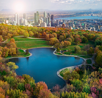 image d'un grand parc avec lac et forets au milieu de la ville