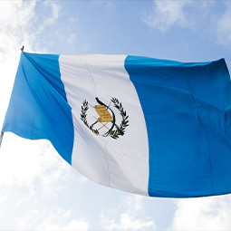 image du drapeau du Guatemala avec de couleur bleu et blanche