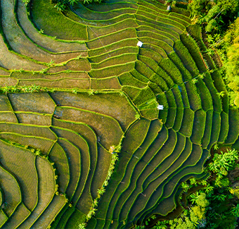 image avec une vue aérienne de Rice Field Terrace à Bandung, se situant à l'Ouest de l'Indonésie