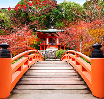 image d'un jardin avec un petit pont rouge reliant un monument traditionnel japonais
