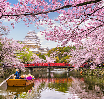 image d'une petite barque naviguant sur un lac entouré d'un pont rouge, de cerisiers rose et d'un petit temple en fond