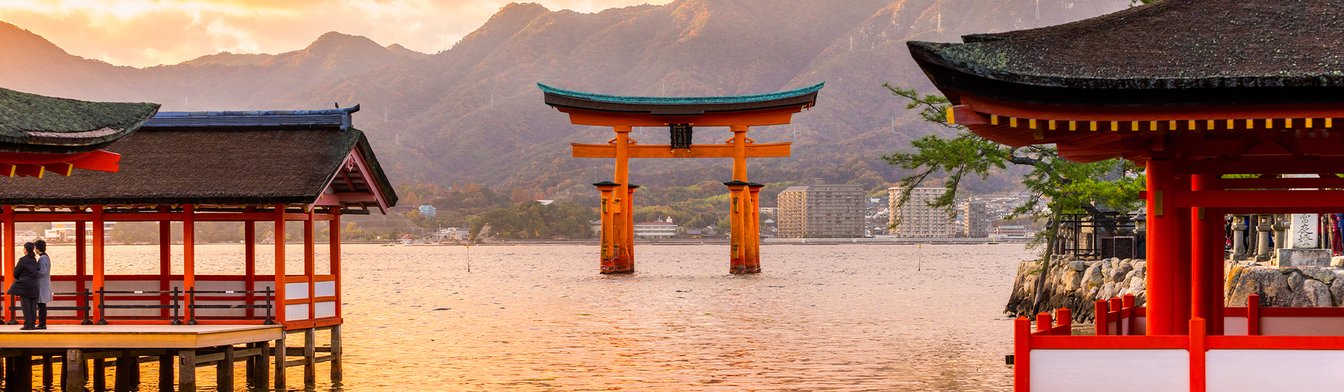 Torii portail sacrée du japon
