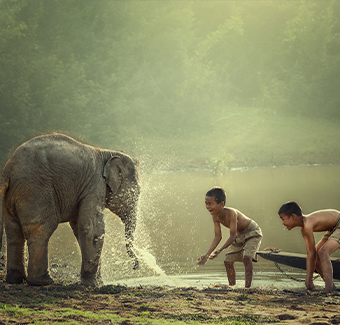images de 2 jeune garçons jouant avec l'eau de la rivière et un éléphanteau