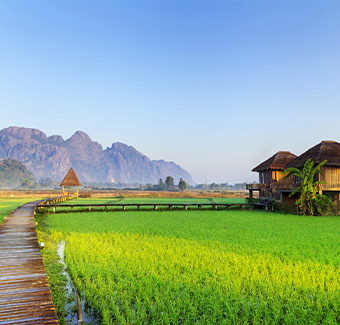 image d'un grand jardin de pousse de riz avec un pont en bois, 2 maisons traditionnelles et une montagne en fond