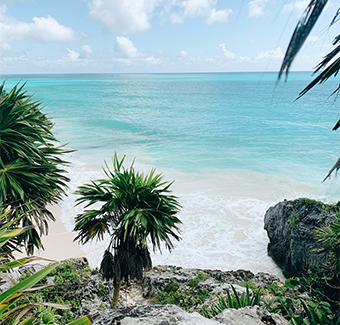 image d'une plage à Playa Del cramen avec sable d'un blanc immaculé, ses grands palmiers et son eau turquoise