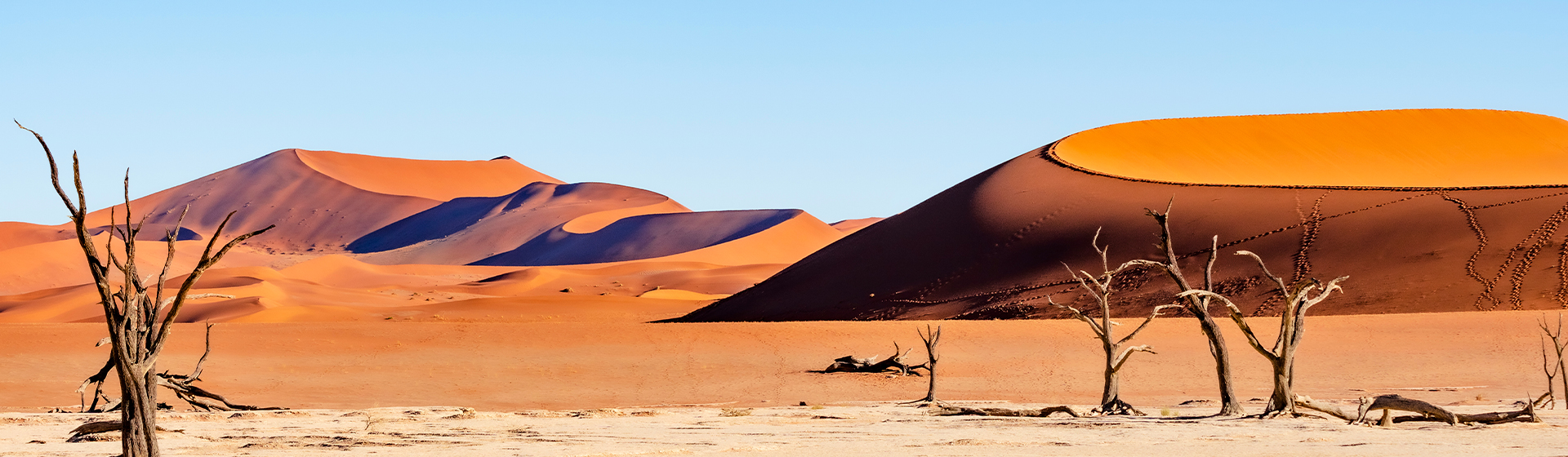dunes de sable