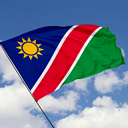 image drapeau de la Namibie de couleur bleu, blanche, verte, jaune et rouge
