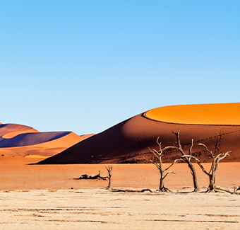 image de dunes de sable dans le désert du parc national du Namib-Nacluft en Namibie