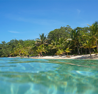 image d'une plage de sable avec végétation tropicale vue de la surface de l'eau au Panama