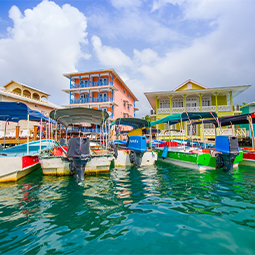 image des maisons sur le rivage de l'île de Colon à Bocas del Toro