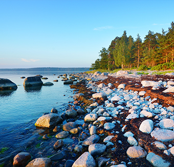 Image d'un lac avec pleins de rochers blancs et des arbres sur la côte de Kasmu en Estonie