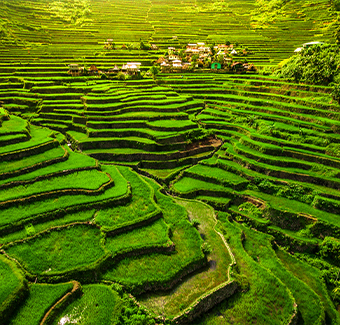 image des terrasses de riz Lfugao se situant dans le nord de Luzon