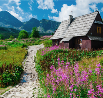 image d'une petite maison à couleur sombre se trouvant dans une vallée verte, montagneuse et fleurie