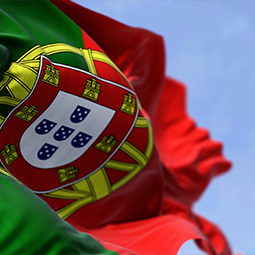 image du drapeau du Portugal de couleur jaune, vert et rouge