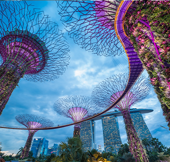 image du SuperTree Grove qui est un jardin vertical unique imitant des arbres imposants, avec de grandes canopées et des lumières colorées la nuit