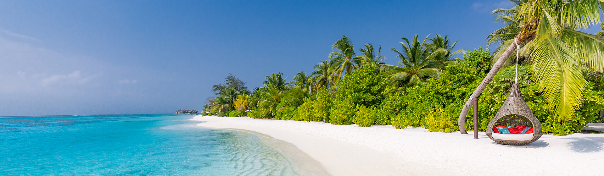 image d'un paysage de plage tropical idyllique, eaux turquoises et palmiers