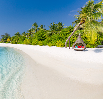 image d'un paysage de plage tropical idyllique, eaux turquoises et palmiers