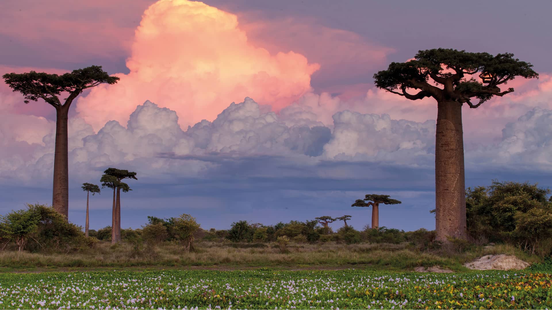 home-header-decouvrir