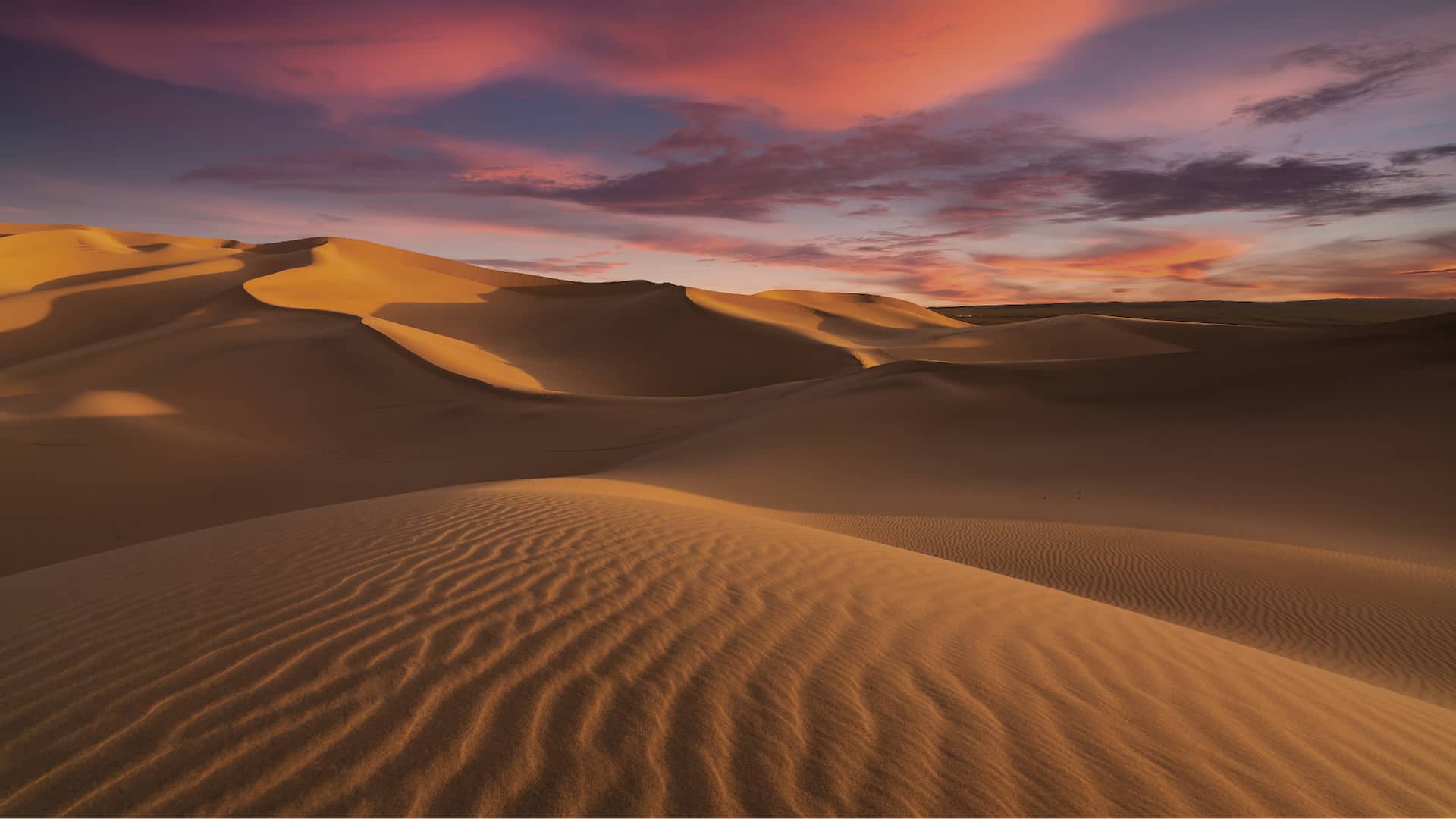 home-header-explorer