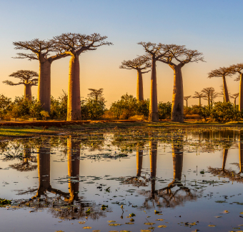 image prise lors d'un coucher de soleil d'un safari à Antananarivo