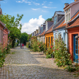 image d'une petite ruelle avec des maisons basses, colorées et fleuries