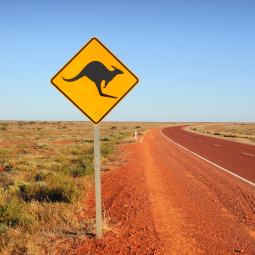 image d'un panneau de signalisation de traversée de kangourous en bord de route
