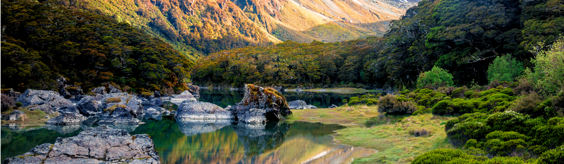 petite rivière au bord d'une montagne