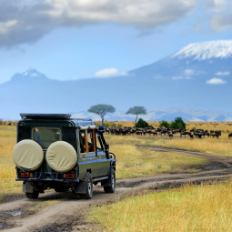 image d'un 4x4 réalisant un safari dans la savane du Kenya devant des montagnes volcaniques couverte de neige