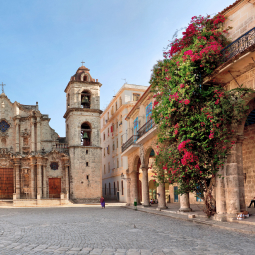 images de rues fleuries de la ville de Cuba