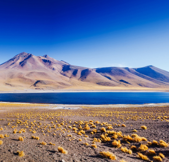 image du lac de Miniques avec le volcan Miscanti Du Cerro